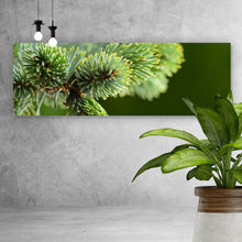 Lade das Bild in den Galerie-Viewer, Poster Zweig einer blauen Tanne Panorama
