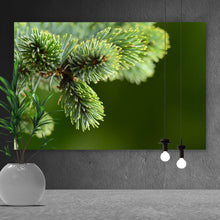 Lade das Bild in den Galerie-Viewer, Poster Zweig einer blauen Tanne Querformat