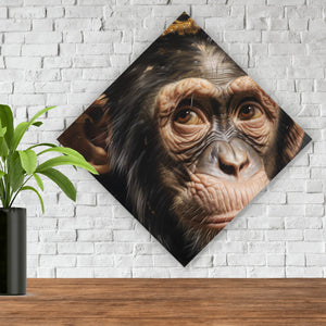 Aluminiumbild gebürstet Adeliger Schimpanse mit Krone Raute