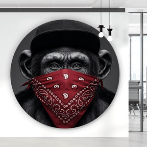 Aluminiumbild Affenporträt mit Bandana Kreis