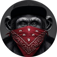 Lade das Bild in den Galerie-Viewer, Aluminiumbild Affenporträt mit Bandana Kreis
