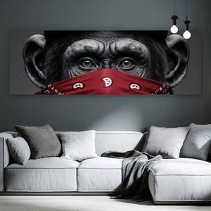 Spannrahmenbild Affenporträt mit Bandana Panorama