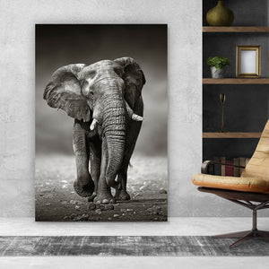 Aluminiumbild gebürstet Afrikanischer Elefant in Schwarz Weiß Hochformat