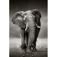 Lade das Bild in den Galerie-Viewer, Leinwandbild Afrikanischer Elefant in Schwarz Weiß Hochformat
