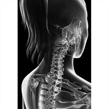 Lade das Bild in den Galerie-Viewer, Aluminiumbild Anatomische Röntgenkunst Hochformat
