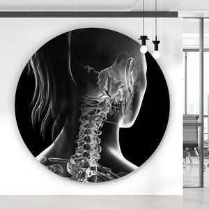 Aluminiumbild gebürstet Anatomische Röntgenkunst Kreis