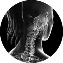 Lade das Bild in den Galerie-Viewer, Aluminiumbild gebürstet Anatomische Röntgenkunst Kreis
