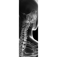 Lade das Bild in den Galerie-Viewer, Leinwandbild Anatomische Röntgenkunst Panorama Hoch
