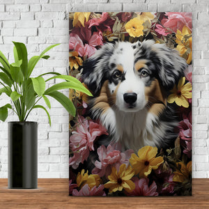 Leinwandbild Australian Shepherd umgeben von Blumenmeer Hochformat