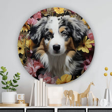 Lade das Bild in den Galerie-Viewer, Aluminiumbild gebürstet Australian Shepherd umgeben von Blumenmeer Kreis
