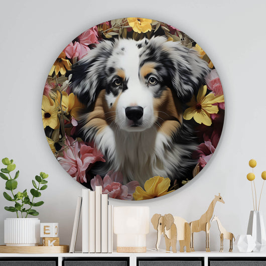 Aluminiumbild gebürstet Australian Shepherd umgeben von Blumenmeer Kreis