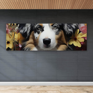 Leinwandbild Australian Shepherd umgeben von Blumenmeer Panorama