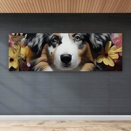 Leinwandbild Australian Shepherd umgeben von Blumenmeer Panorama