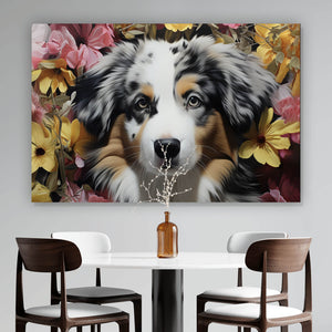 Poster Australian Shepherd umgeben von Blumenmeer Querformat