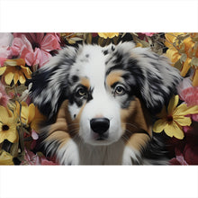 Lade das Bild in den Galerie-Viewer, Leinwandbild Australian Shepherd umgeben von Blumenmeer Querformat
