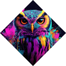 Lade das Bild in den Galerie-Viewer, Leinwandbild Beeindruckende abstrakte Eule Explosion Raute
