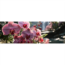 Lade das Bild in den Galerie-Viewer, Leinwandbild Beeindruckende Orchideen im Naturparadies Panorama
