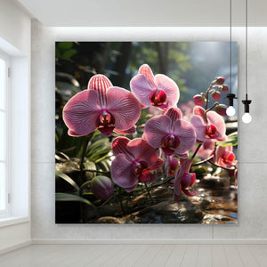 Leinwandbild Beeindruckende Orchideen im Naturparadies Quadrat