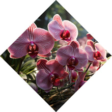 Lade das Bild in den Galerie-Viewer, Leinwandbild Beeindruckende Orchideen im Naturparadies Raute
