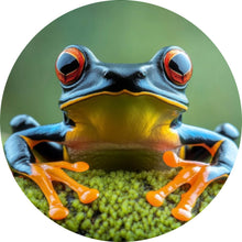 Lade das Bild in den Galerie-Viewer, Aluminiumbild Beeindruckender Frosch in der Natur Kreis
