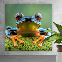 Lade das Bild in den Galerie-Viewer, Aluminiumbild gebürstet Beeindruckender Frosch in der Natur Quadrat
