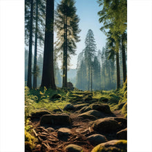 Lade das Bild in den Galerie-Viewer, Acrylglasbild Beeindruckender Wald mit Bäumen in der Sonne Hochformat
