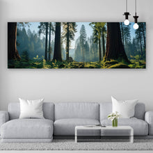 Lade das Bild in den Galerie-Viewer, Aluminiumbild Beeindruckender Wald mit Bäumen in der Sonne Panorama

