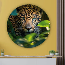 Lade das Bild in den Galerie-Viewer, Aluminiumbild gebürstet Beeindruckendes Leoparden Porträt im Dschungel Kreis
