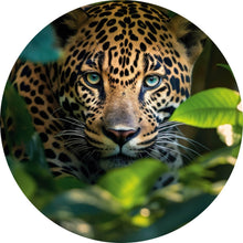 Lade das Bild in den Galerie-Viewer, Aluminiumbild gebürstet Beeindruckendes Leoparden Porträt im Dschungel Kreis
