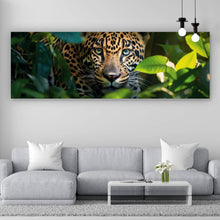 Lade das Bild in den Galerie-Viewer, Acrylglasbild Beeindruckendes Leoparden Porträt im Dschungel Panorama
