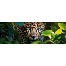 Lade das Bild in den Galerie-Viewer, Poster Beeindruckendes Leoparden Porträt im Dschungel Panorama
