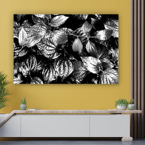 Acrylglasbild Blätterwald Querformat