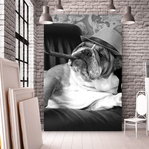 Aluminiumbild gebürstet Bulldogge auf Ledersessel mit Zigarre und Hut Hochformat