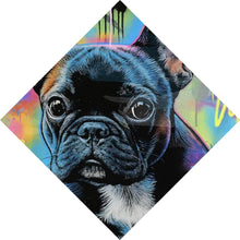 Lade das Bild in den Galerie-Viewer, Leinwandbild Bunte Bulldogge vor lebendigem Graffiti Hintergrund Raute
