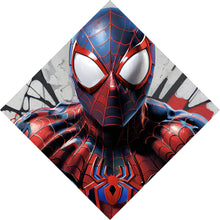Lade das Bild in den Galerie-Viewer, Aluminiumbild Superheld Spider Raute
