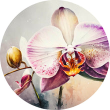 Lade das Bild in den Galerie-Viewer, Aluminiumbild gebürstet Edle Aquarell Orchidee Kreis
