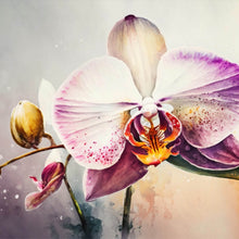 Lade das Bild in den Galerie-Viewer, Poster Edle Aquarell Orchidee Quadrat
