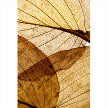 Lade das Bild in den Galerie-Viewer, Acrylglasbild Edle Blattstruktur im Herbst Hochformat
