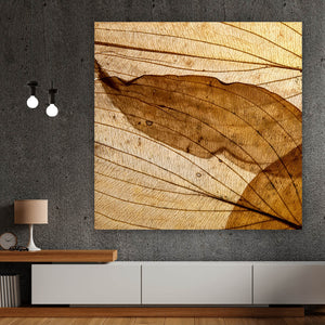 Acrylglasbild Edle Blattstruktur im Herbst Quadrat