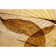 Lade das Bild in den Galerie-Viewer, Spannrahmenbild Edle Blattstruktur im Herbst Querformat
