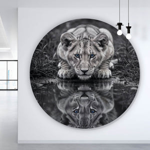 Aluminiumbild Eindrucksvolles Löwenjunges Spiegelbild Kreis