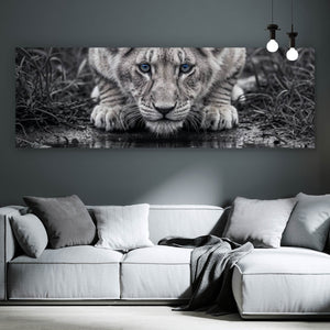 Spannrahmenbild Eindrucksvolles Löwenjunges Spiegelbild Panorama