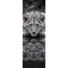 Lade das Bild in den Galerie-Viewer, Poster Eindrucksvolles Löwenjunges Spiegelbild Panorama Hoch
