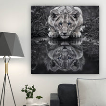 Lade das Bild in den Galerie-Viewer, Aluminiumbild gebürstet Eindrucksvolles Löwenjunges Spiegelbild Quadrat
