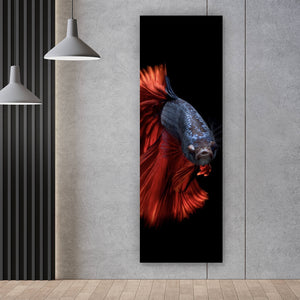 Aluminiumbild Eleganter Betta Fisch mit leuchtend roten Flossen Panorama Hoch