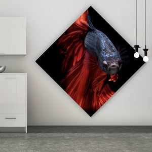 Spannrahmenbild Eleganter Betta Fisch mit leuchtend roten Flossen Raute