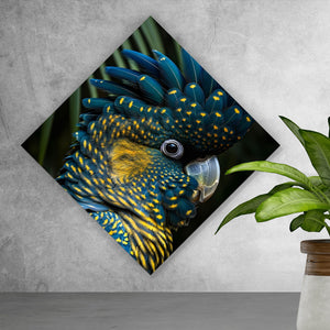 Acrylglasbild Exotischer Papagei mit beeindruckendem Federkleid Raute