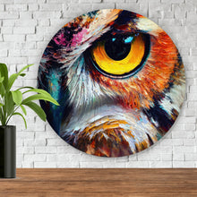 Lade das Bild in den Galerie-Viewer, Aluminiumbild gebürstet Faszinierendes buntes Eulen Porträt Kreis
