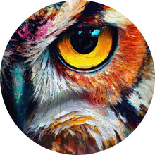 Lade das Bild in den Galerie-Viewer, Aluminiumbild gebürstet Faszinierendes buntes Eulen Porträt Kreis
