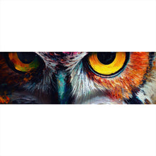 Lade das Bild in den Galerie-Viewer, Leinwandbild Faszinierendes buntes Eulen Porträt Panorama
